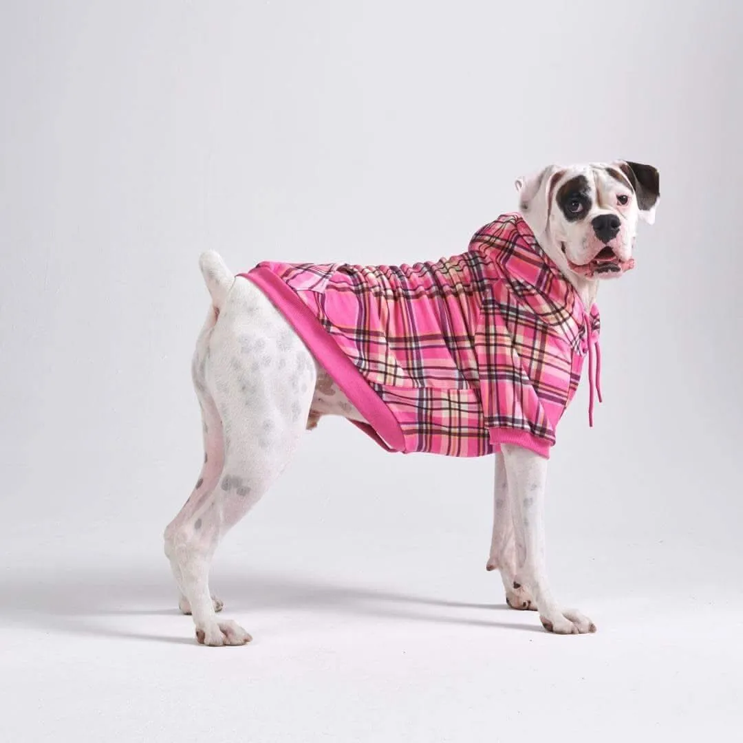 Plaid Dog Hoodies