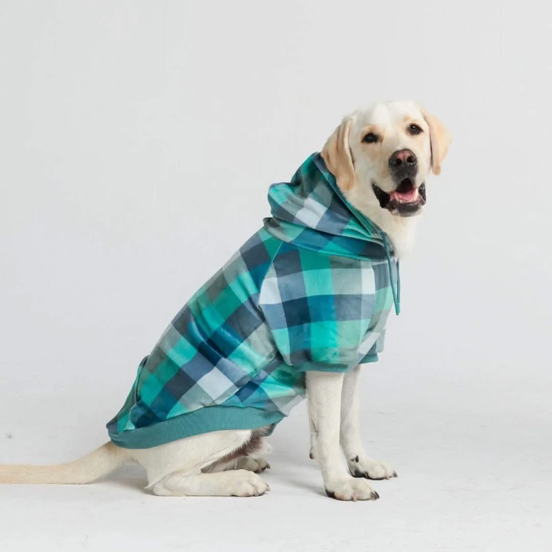 Plaid Dog Hoodies