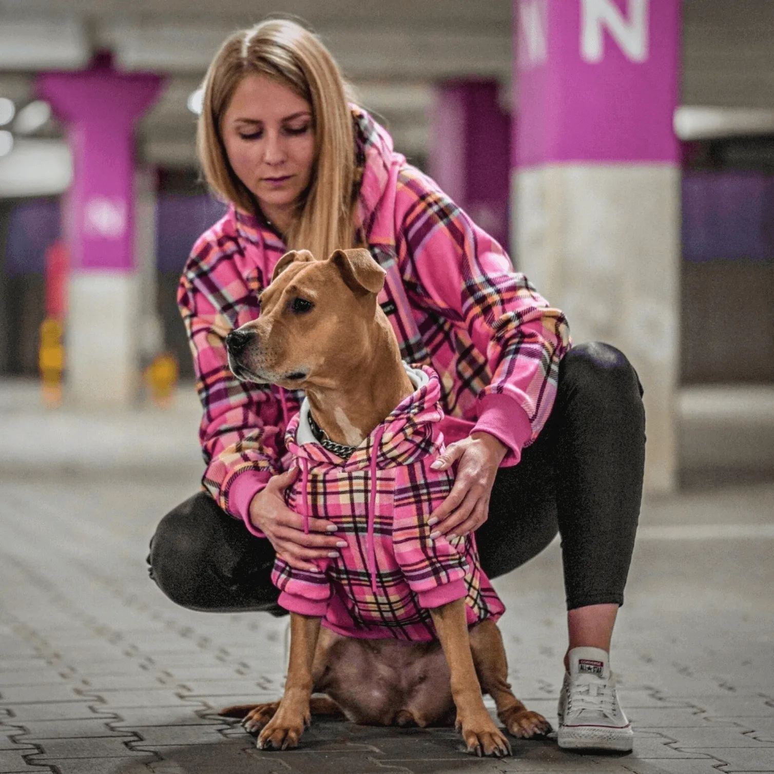 Plaid Dog Hoodies